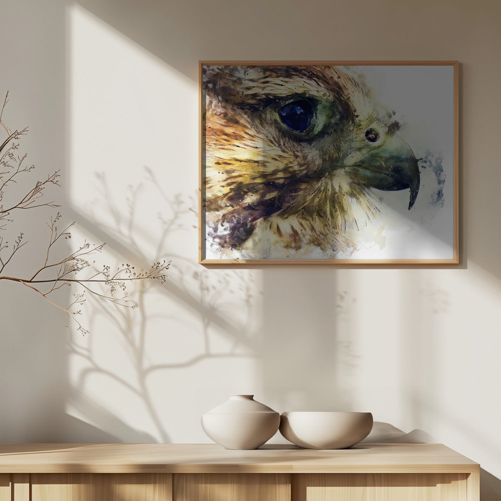 Animal Bird Kestrel Watercolor Animal Art | Poster