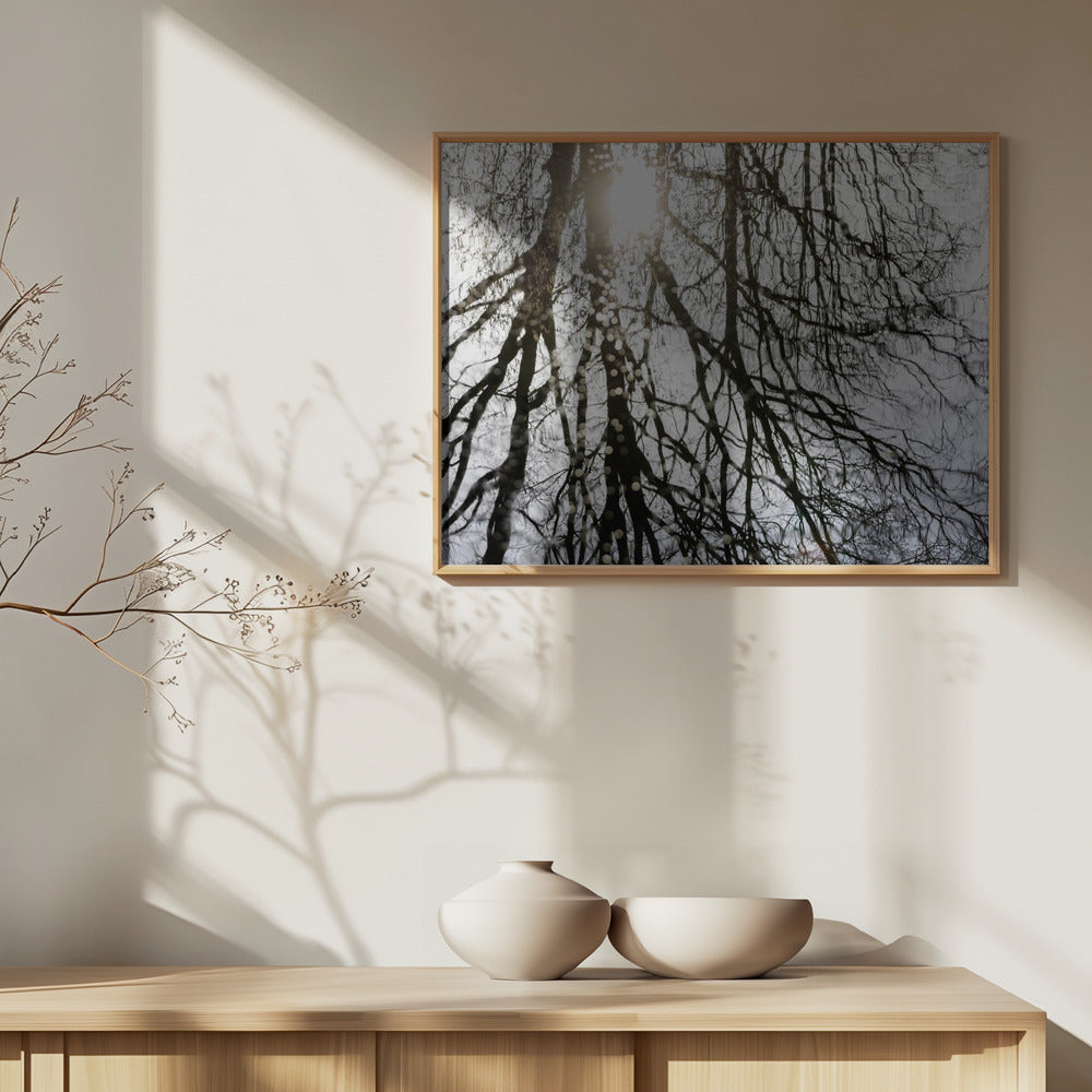 Winter Reflections 3 | Poster
