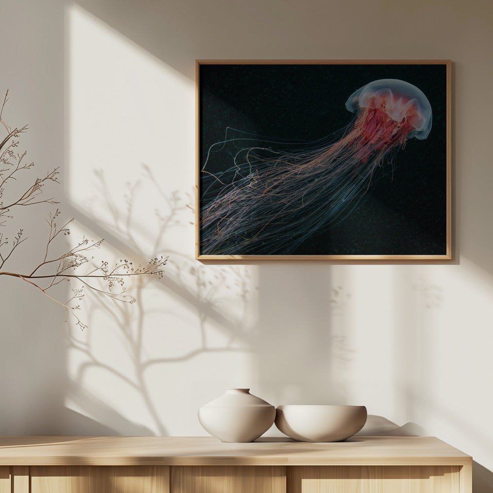 Langstaart | Posters - Kunstdrukken