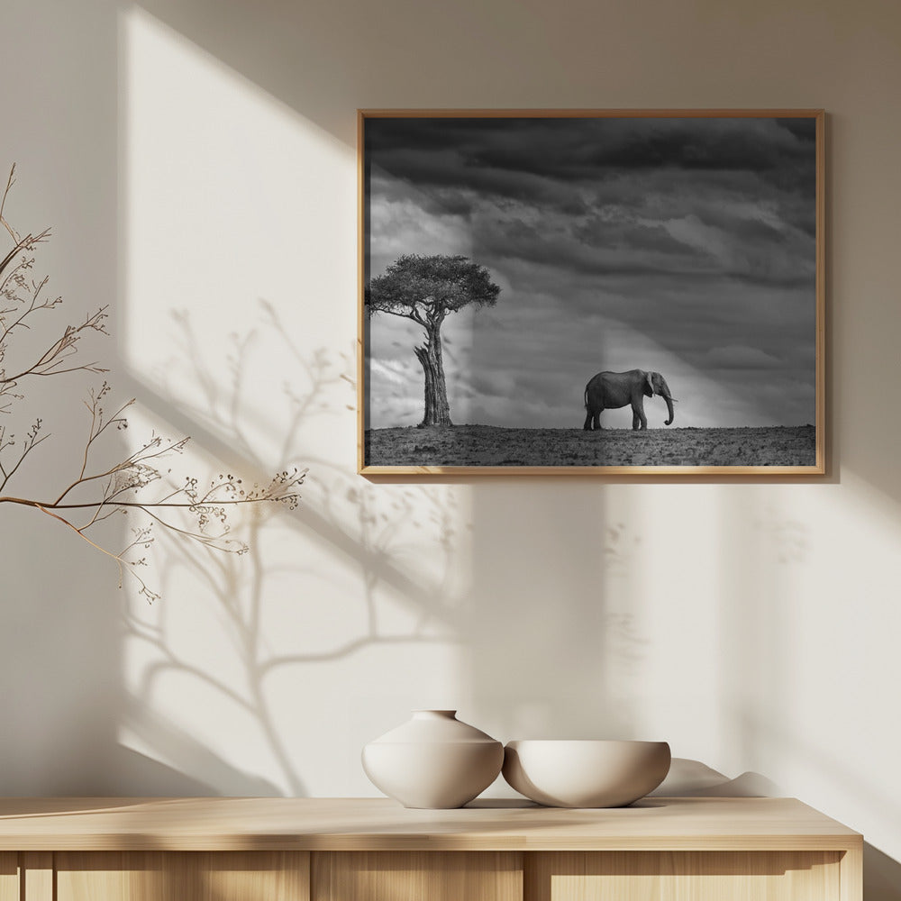Paesaggio di elefanti | Poster - Stampe d’Arte