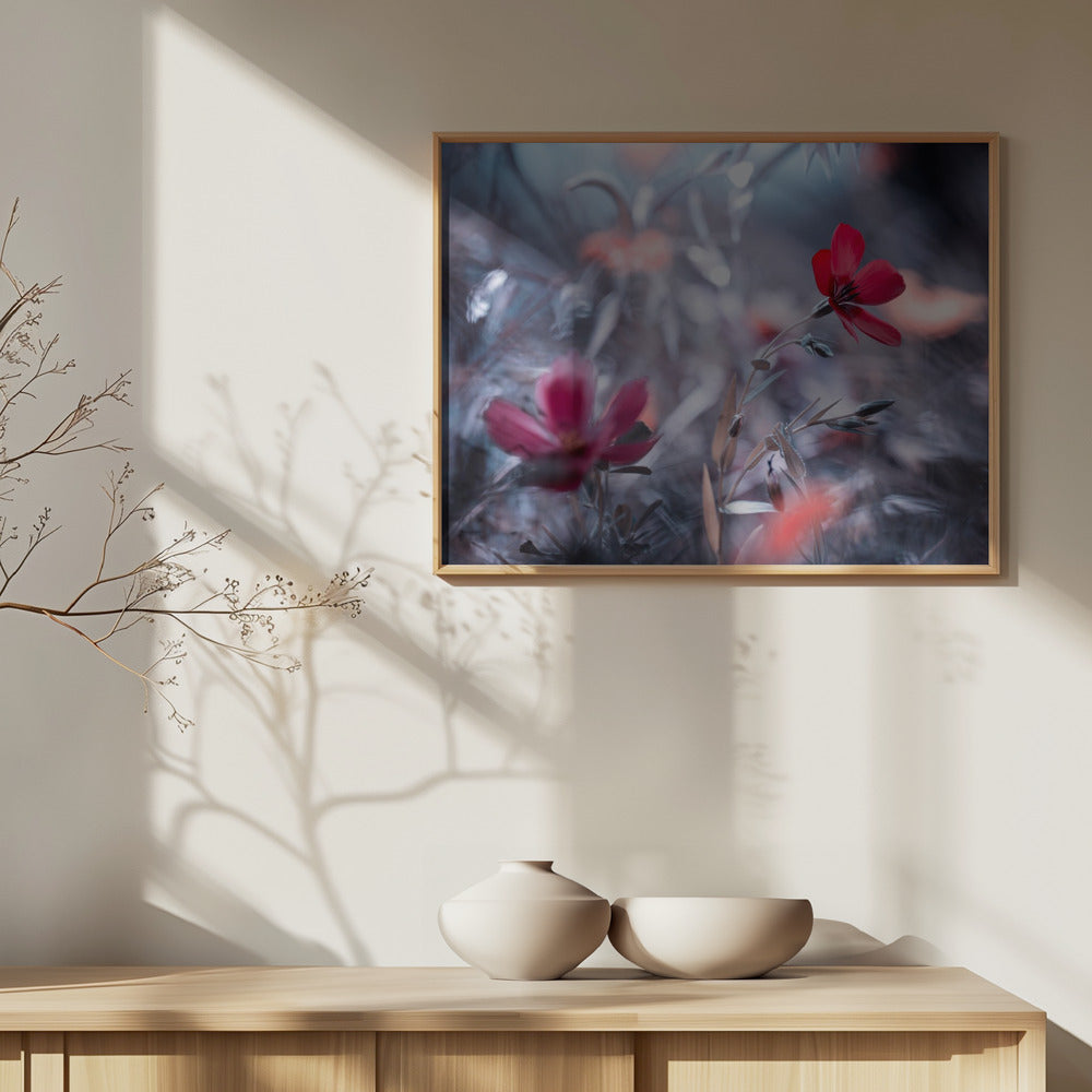 En blomst, en historie | Plakater - Kunsttryk