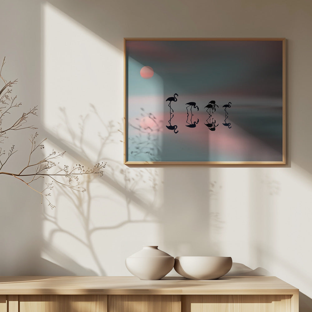 Flamencos en familia. Posters - Impresiones de Arte