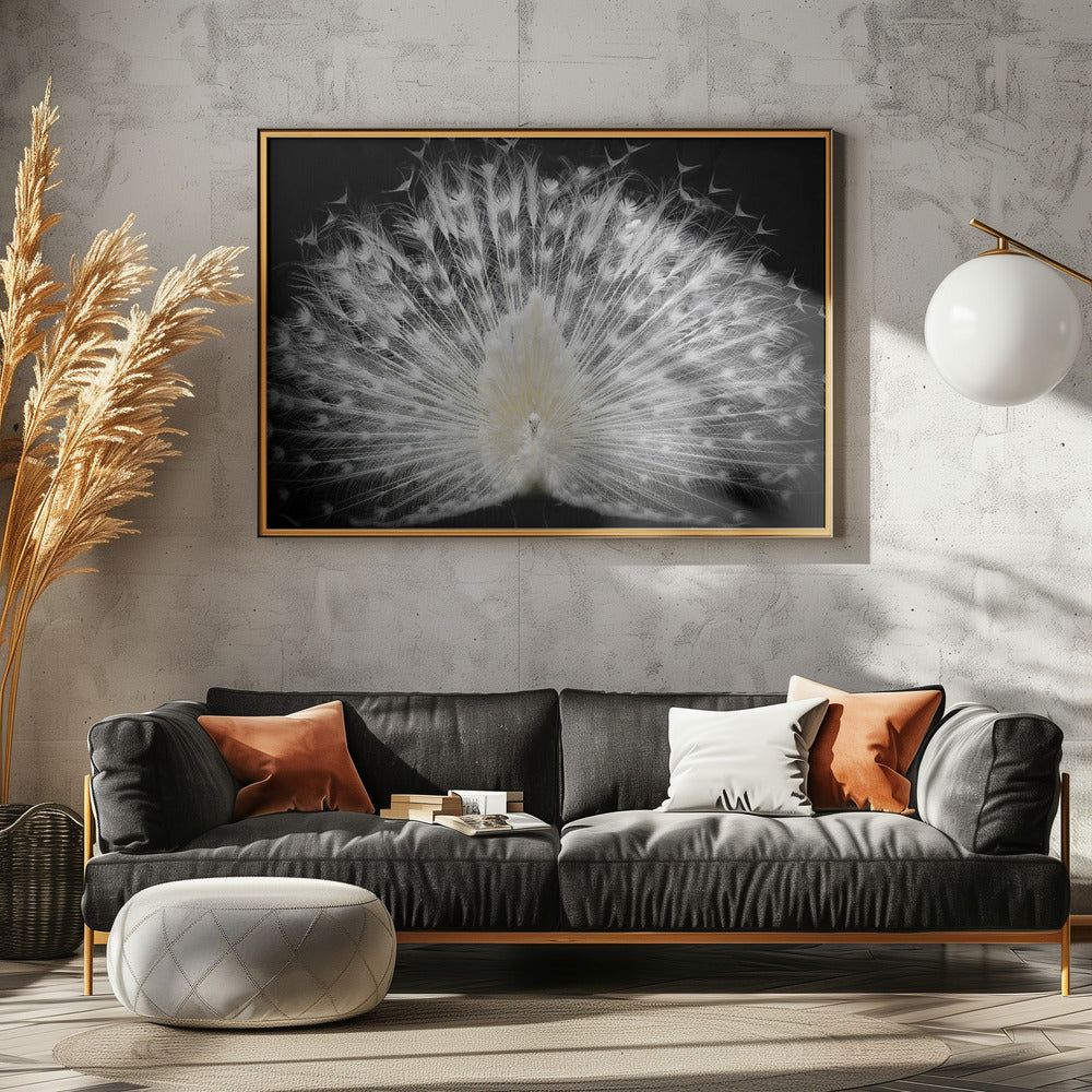 bianco e nero, | Poster - Stampe d’Arte
