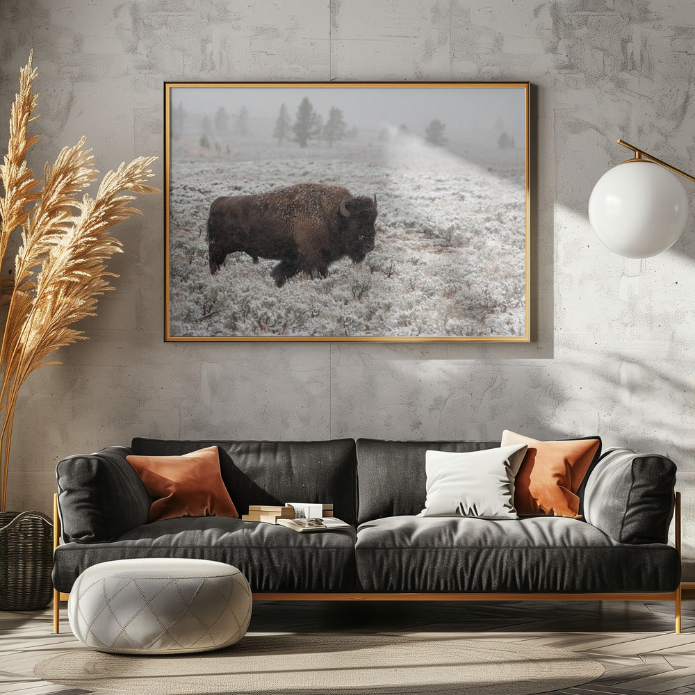 Yellowstone a finales de otoño | Posters - Impresiones de Arte
