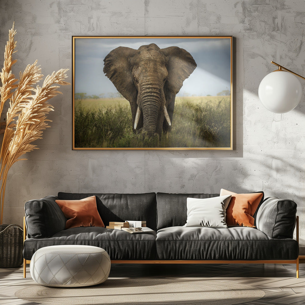 Encuentros en el Serengeti | Posters - Impresiones de Arte