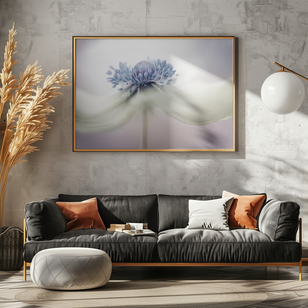 Anemone | Poster - Kunstdruck
