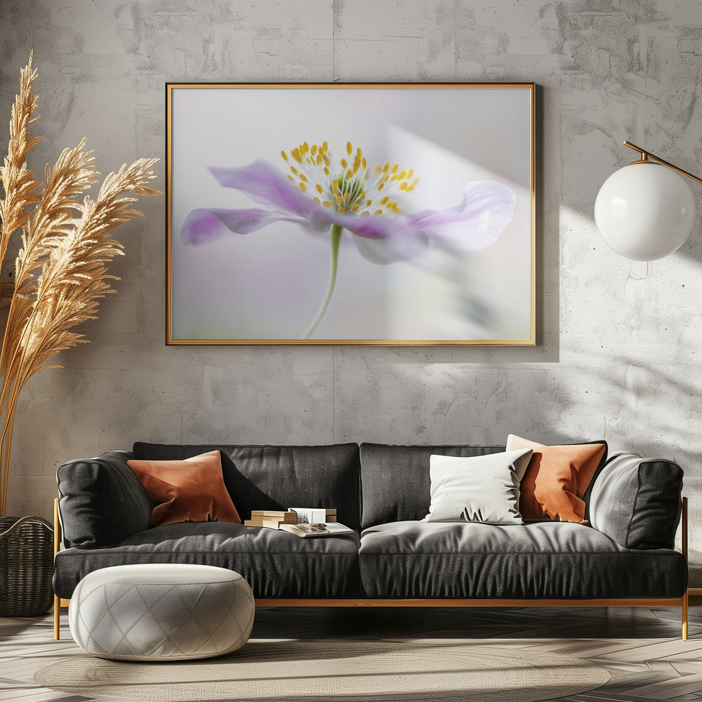 Anémona de madera | Posters - Impresiones de Arte