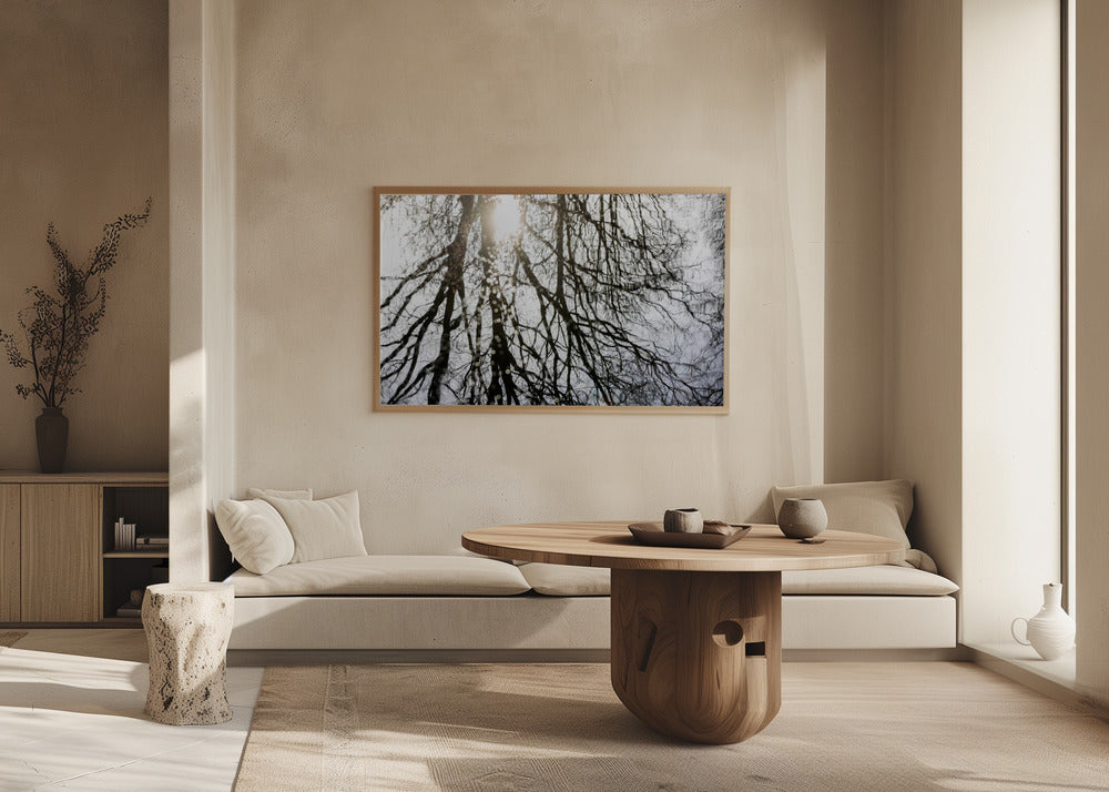 Winter Reflections 3 | Poster