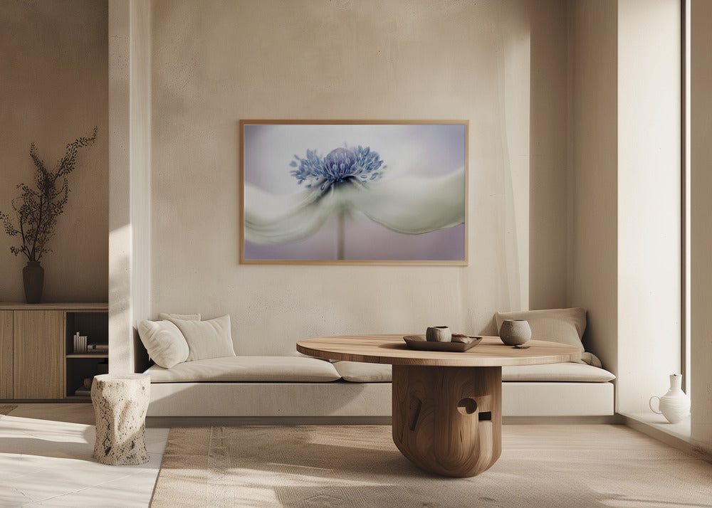 Anemone | Poster - Kunstdruck