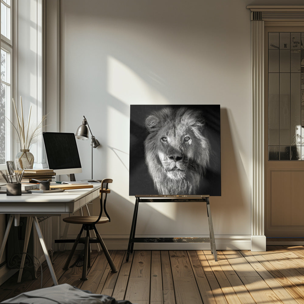 Leijonan muotokuva - Panthera Leo | Canvastaulut