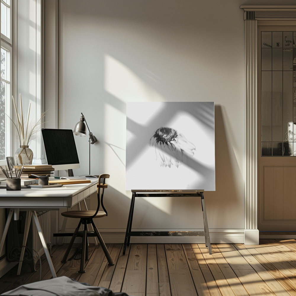 Fleur de mauvaise humeur | Tableaux sur Toile