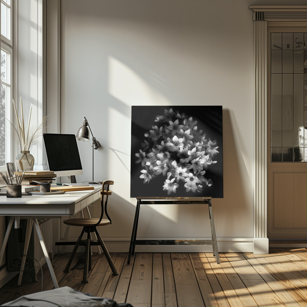 Frühe Sensation | Leinwand-Bilder