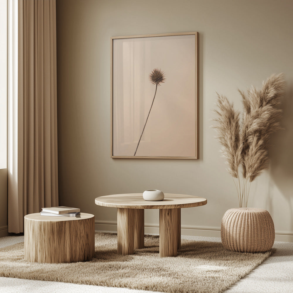 Thistle Peach | Poster