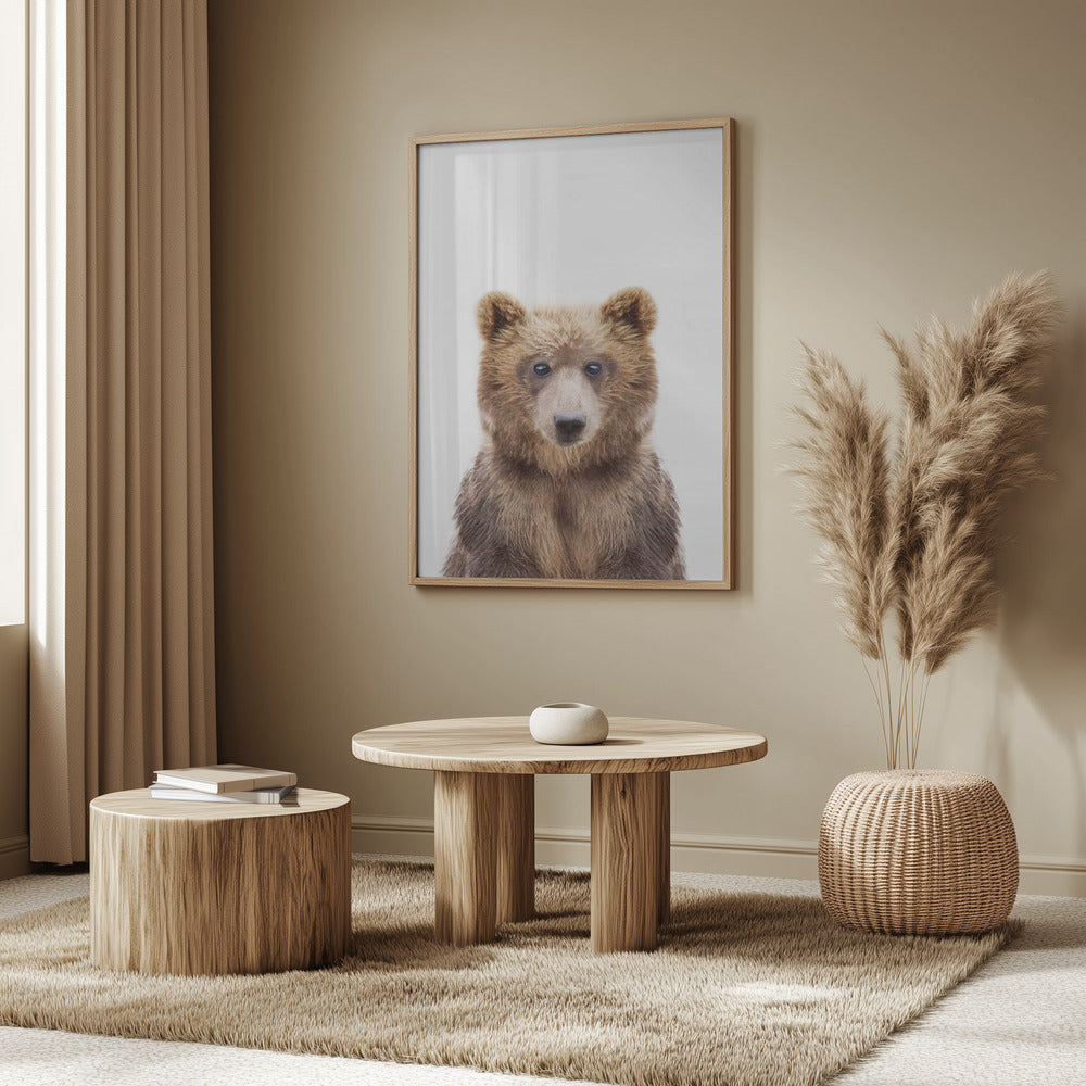 Babybär | Poster - Kunstdruck