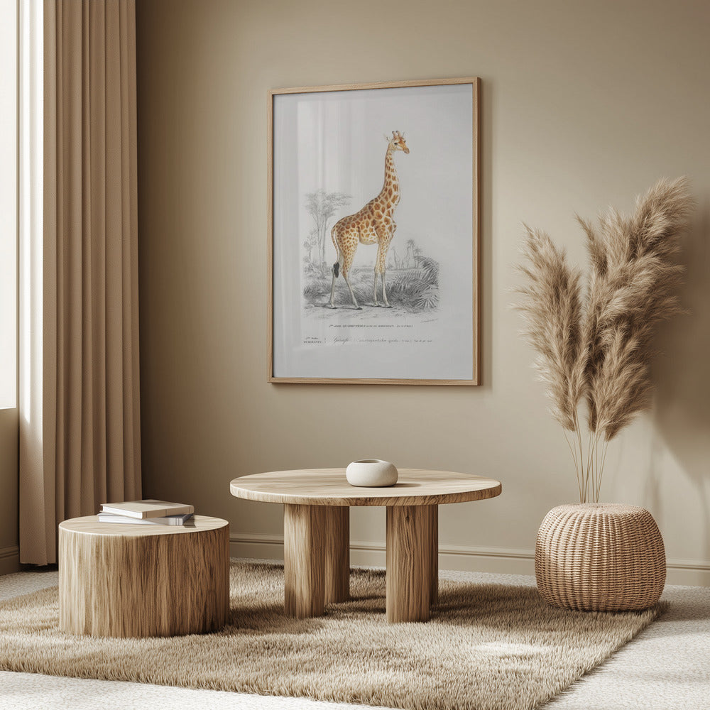 Giraffe | Poster