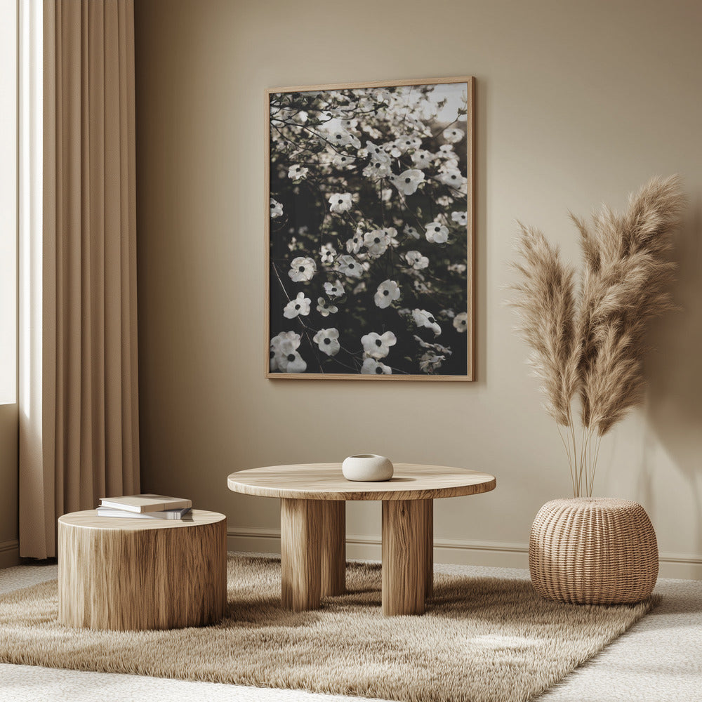 White Spring Tree 5 | Poster