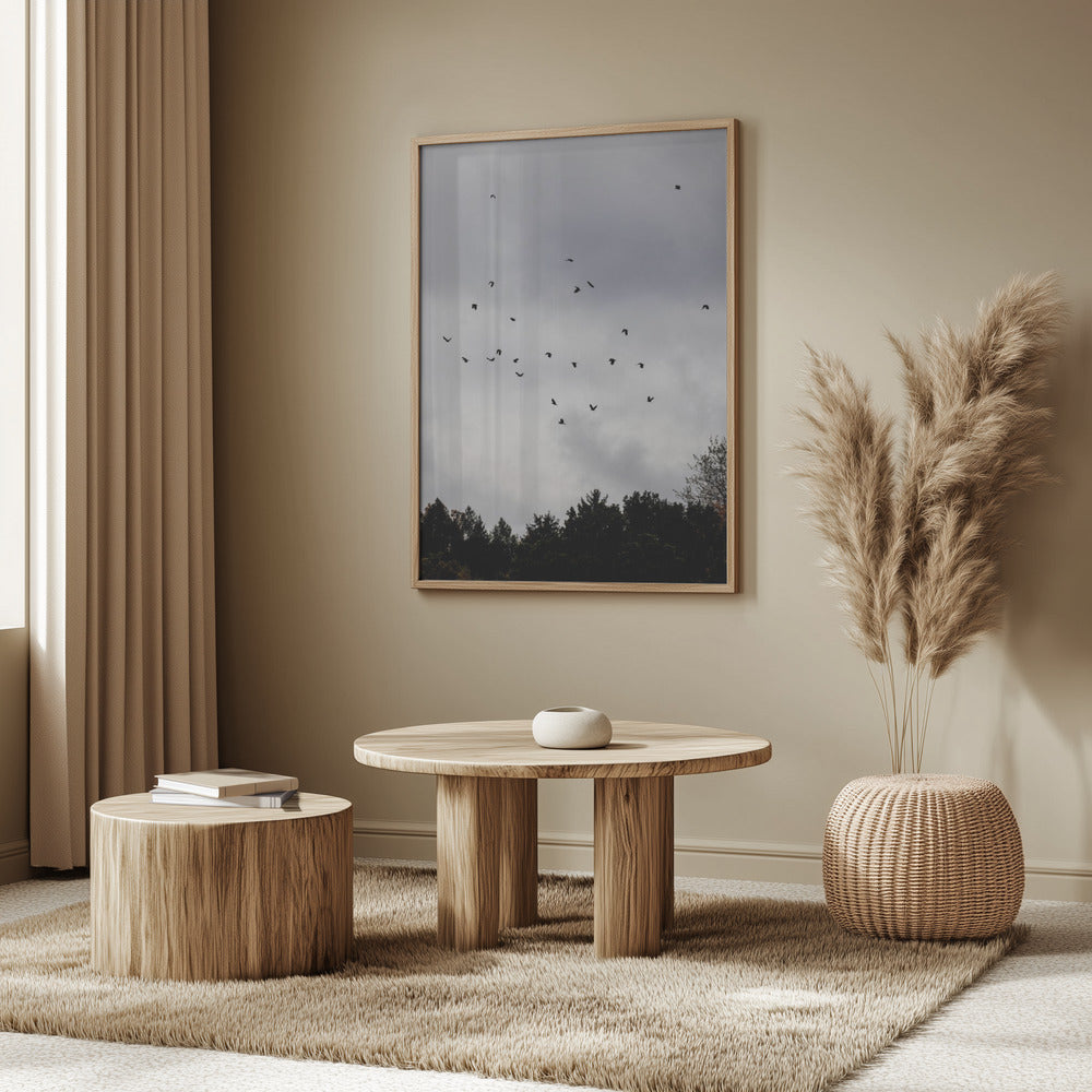 Birds and Clouds 1 | Poster