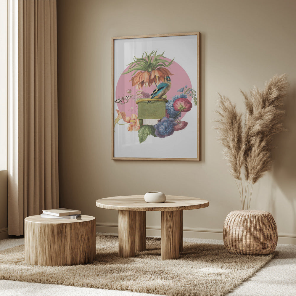 Bunter Vogel auf einer Kiste | Poster