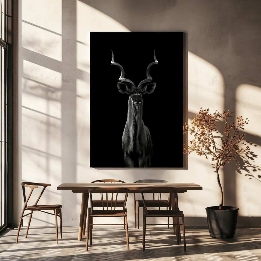 Grote koedoe | Canvasprints
