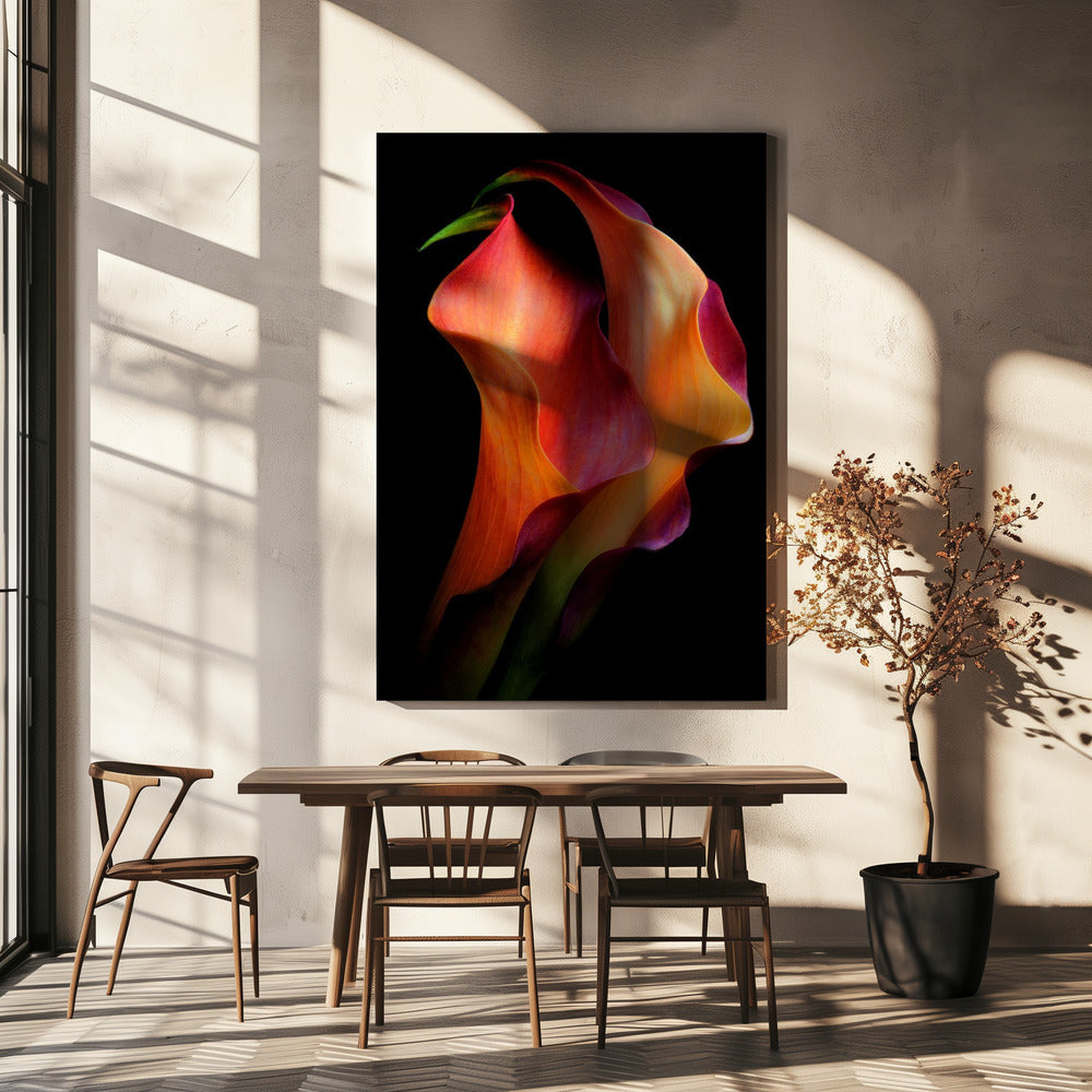 Tenderness | Canvas