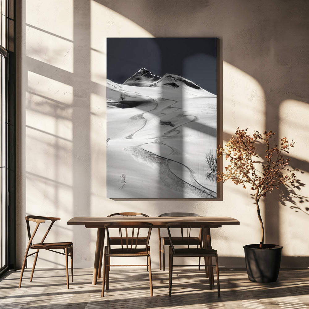 freeride | Tableaux sur Toile