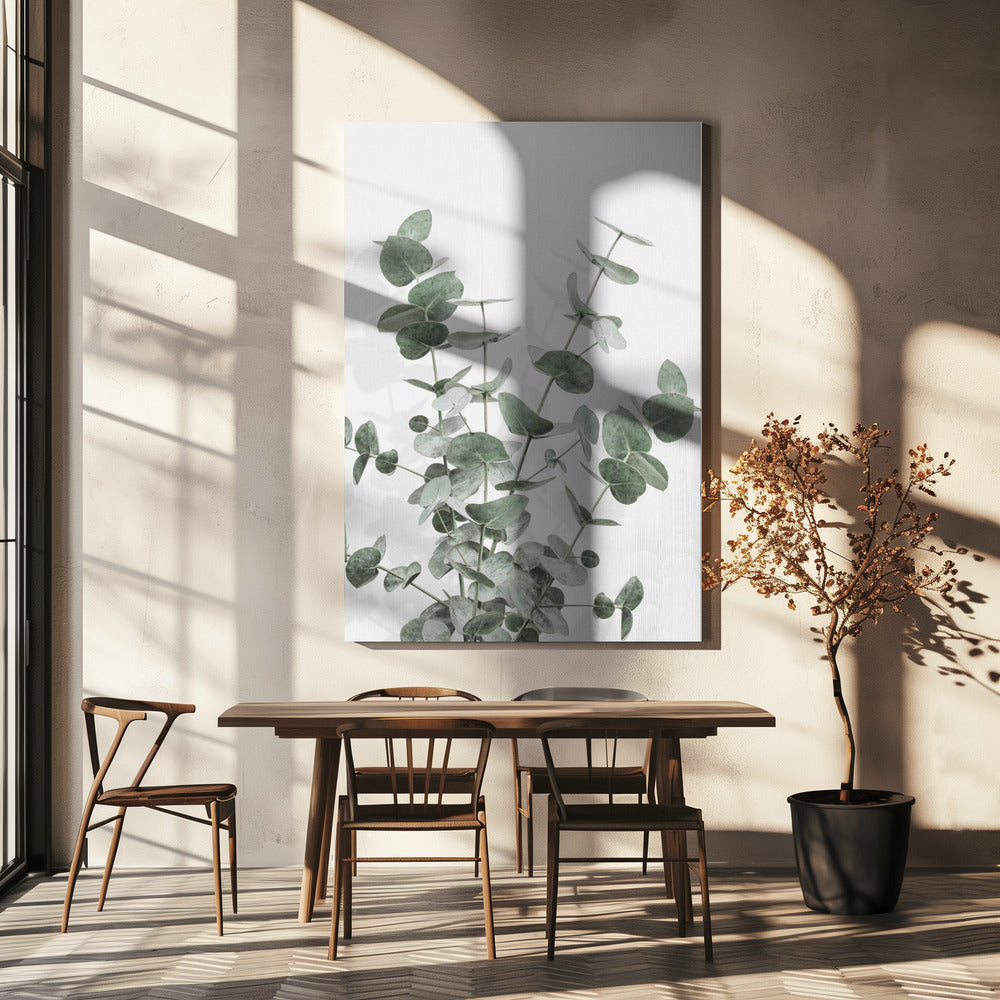 Eukalyptus Kreativ 16 | Lærredsbilleder