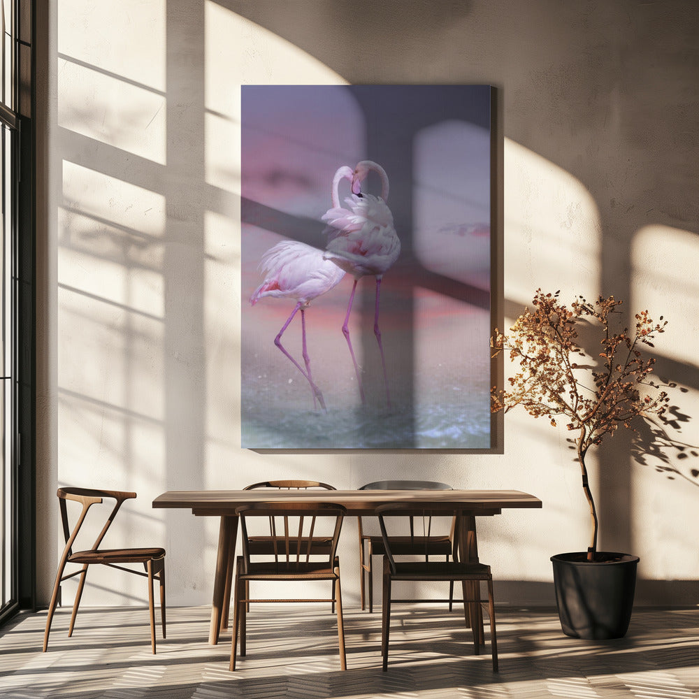 Flamingo Ballet | Canvas