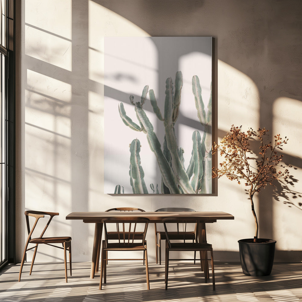 Sunrise Cactus | Canvas