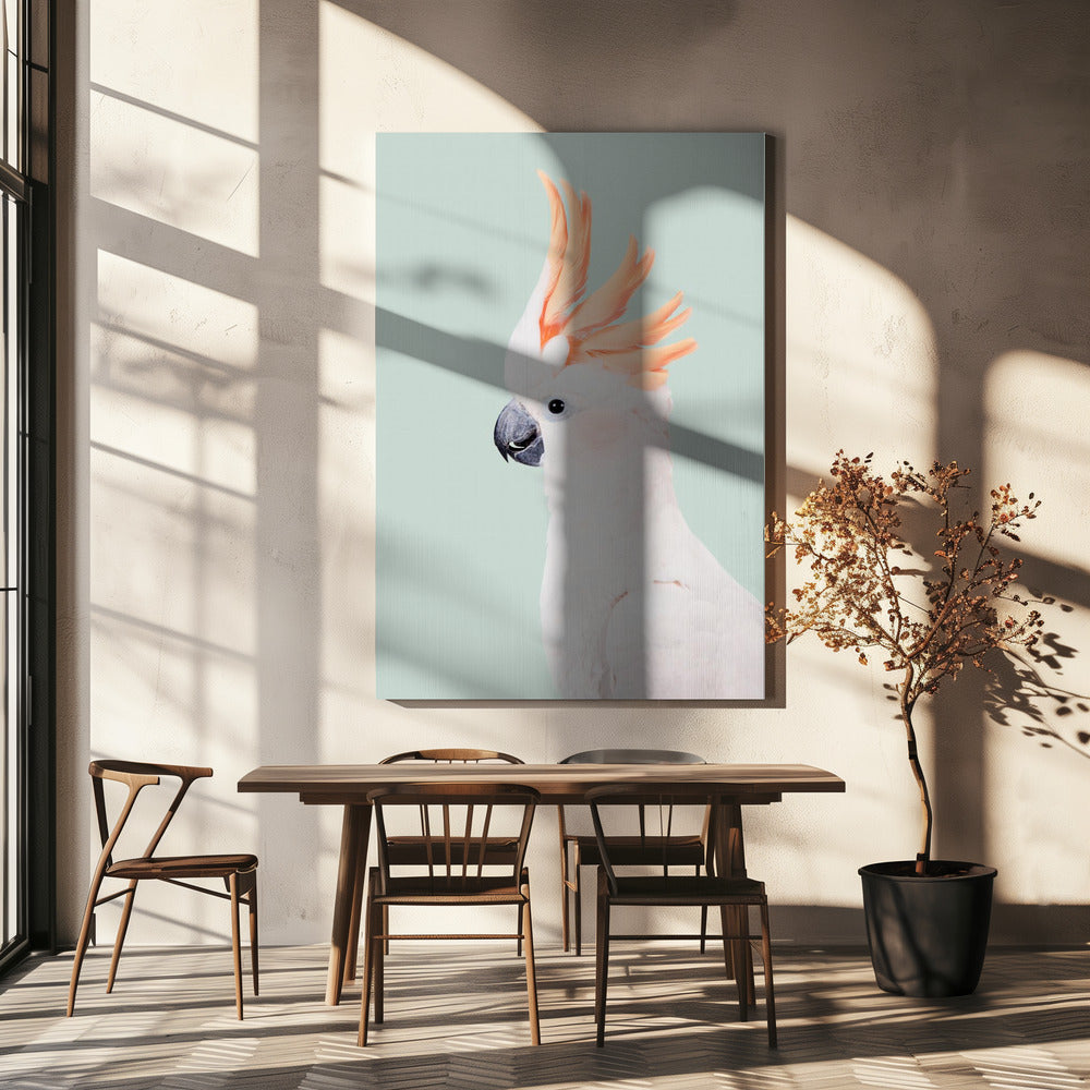 Cockatoo | Canvas