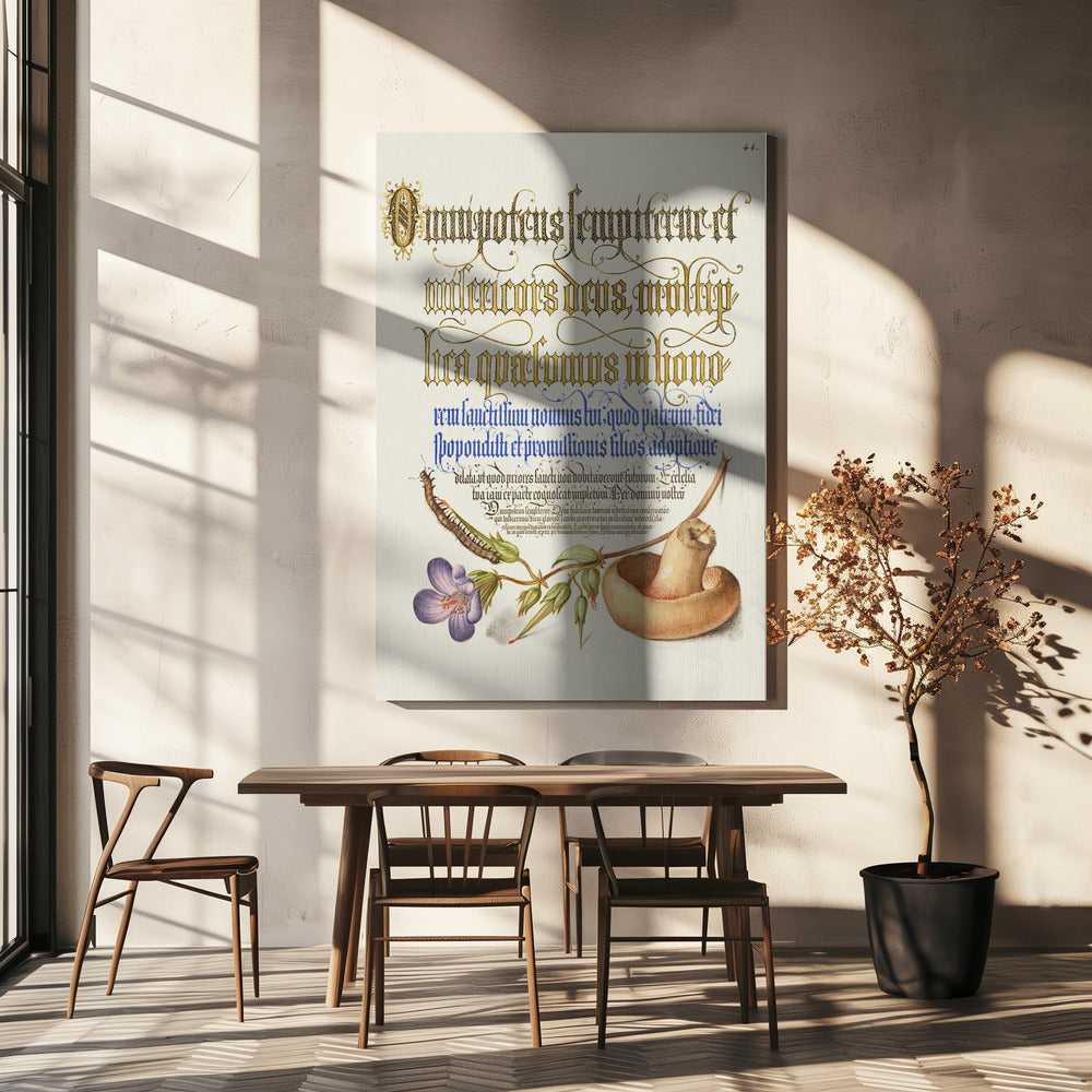 Champiñón Posters - Impresiones de Arte | Impresiones en Lienzo