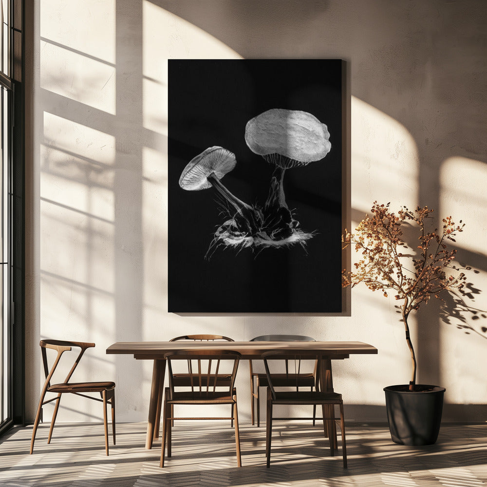 Vintage Violet Webcap Mushroom Mørk B/W | Lærredsbilleder