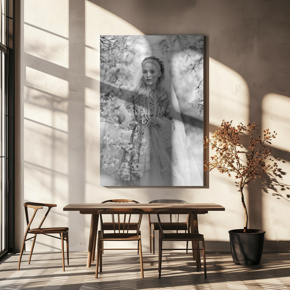 Hon | Canvas