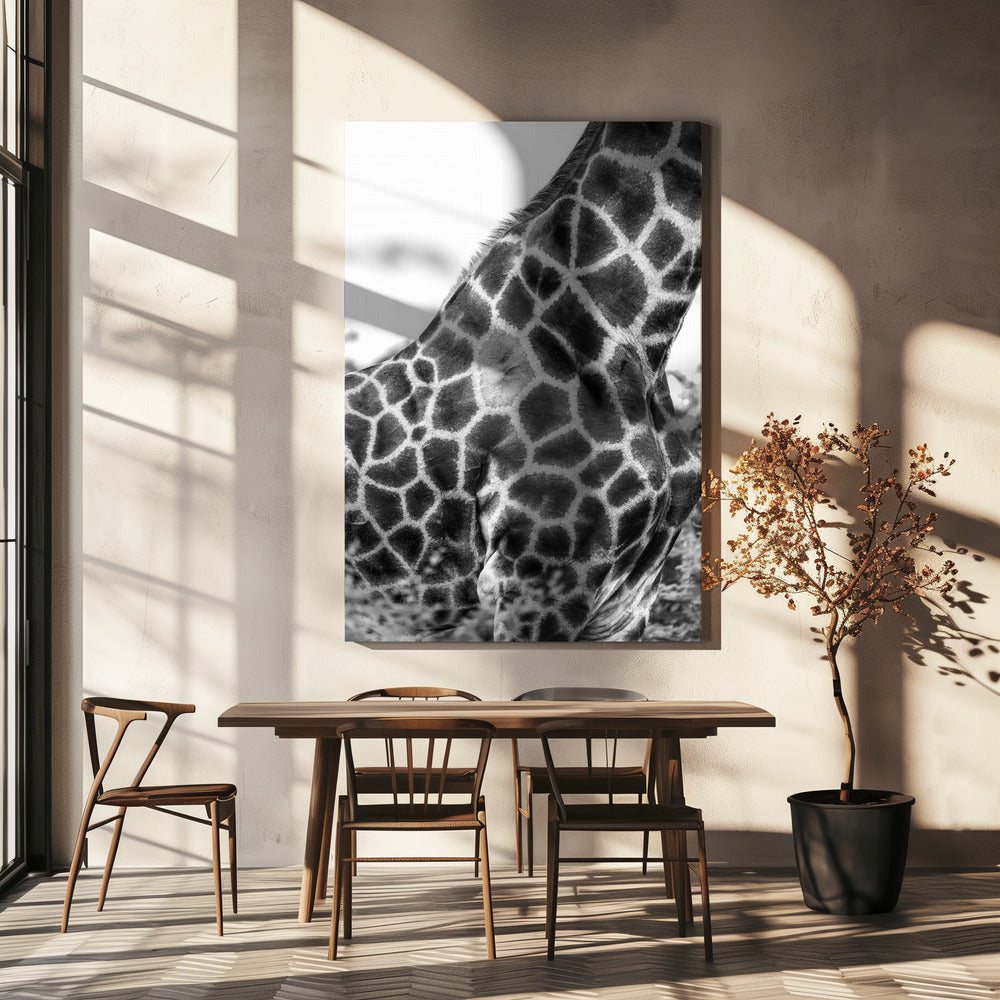 Super Safari n° 3 | Tableaux sur Toile