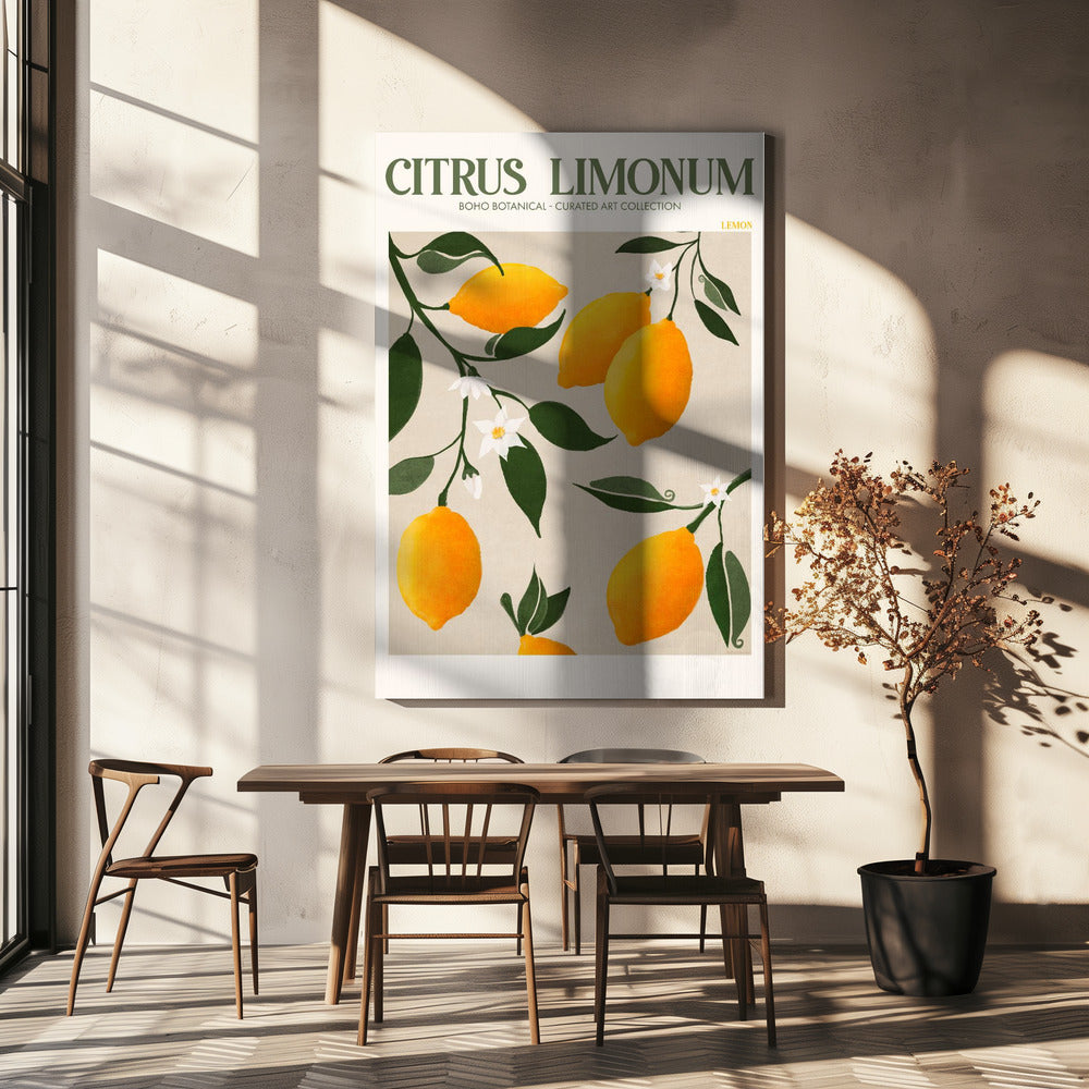 Citrus Limonum-Citron | Tableaux sur Toile
