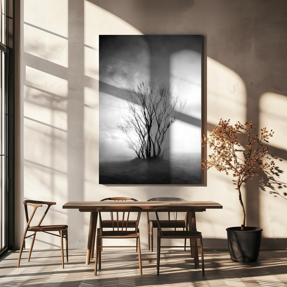 naked | Canvas