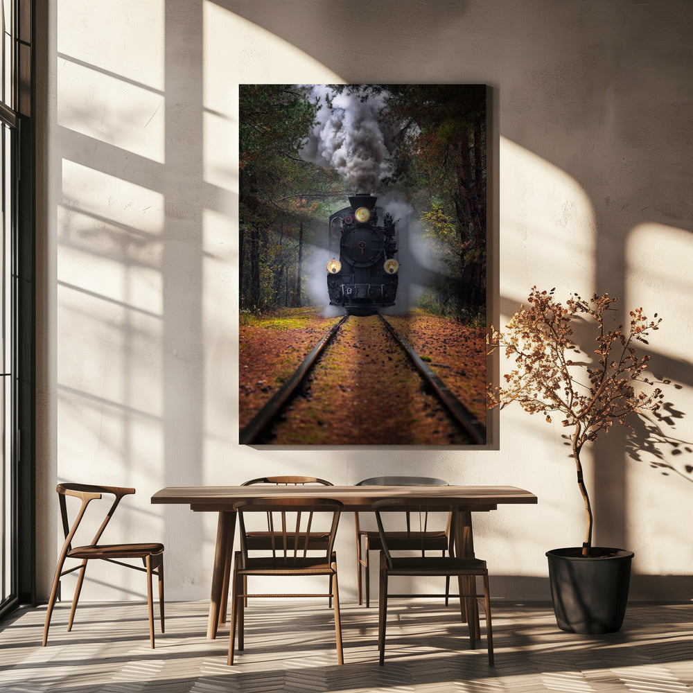 Durch den Herbstwald | Leinwand-Bilder