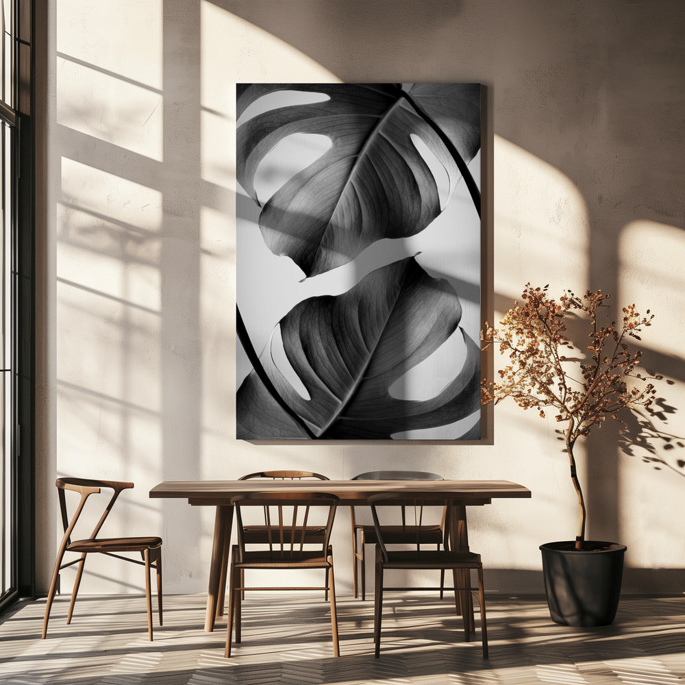 Monstera Monochrom | Leinwand-Bilder