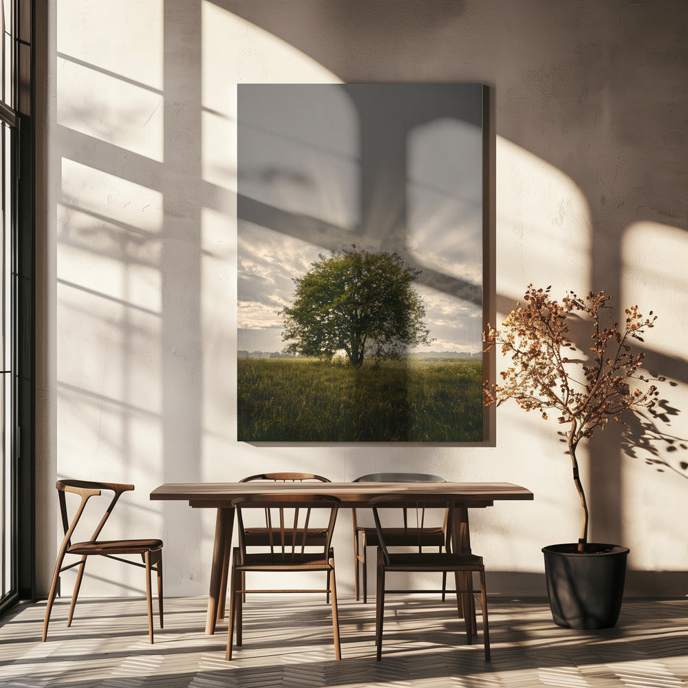 20220616 Dsf4394 | Canvasprints