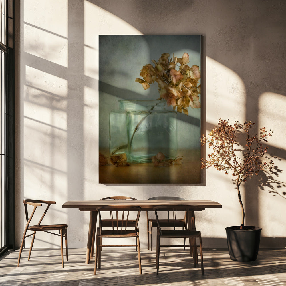 Hydrangea | Canvas