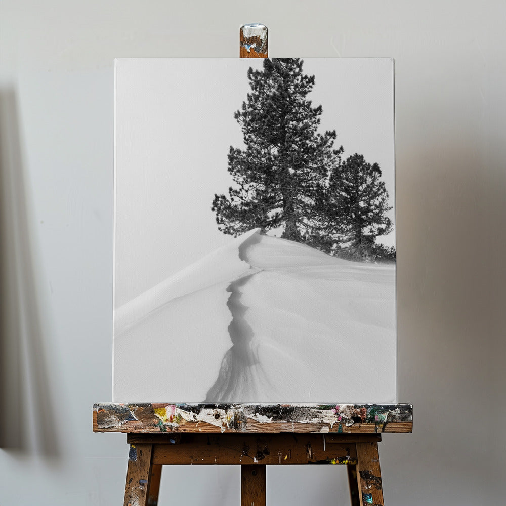 Sobre la nieve y las formas | Impresiones en Lienzo