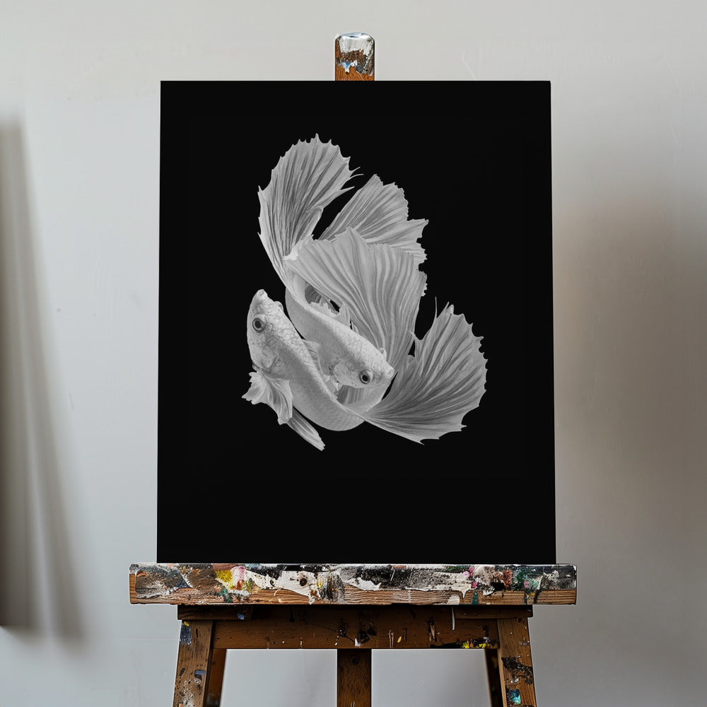 Amore bianco | Stampe su Tela