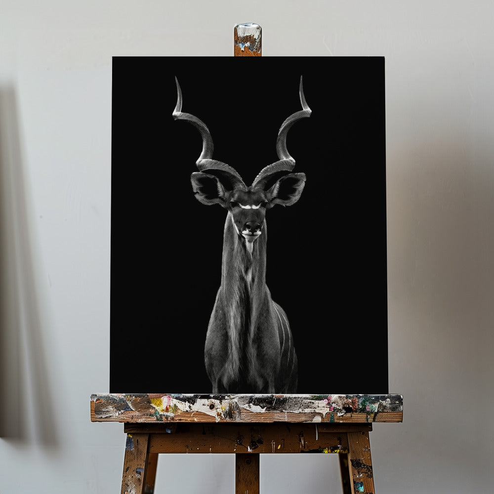 Grote koedoe | Canvasprints