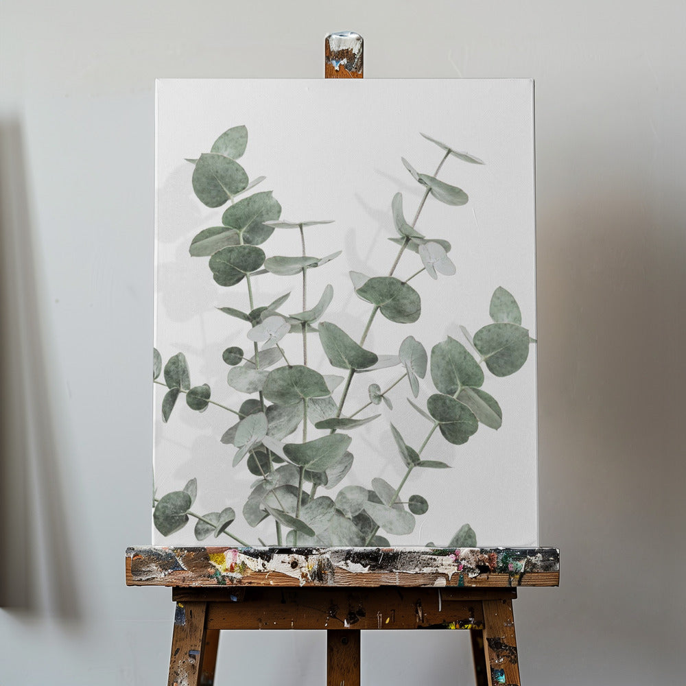 Eukalyptus Kreativ 16 | Lærredsbilleder