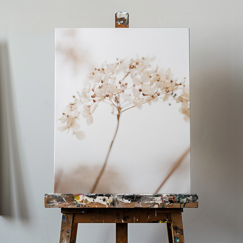 Soft dried flower_brown | Canvas