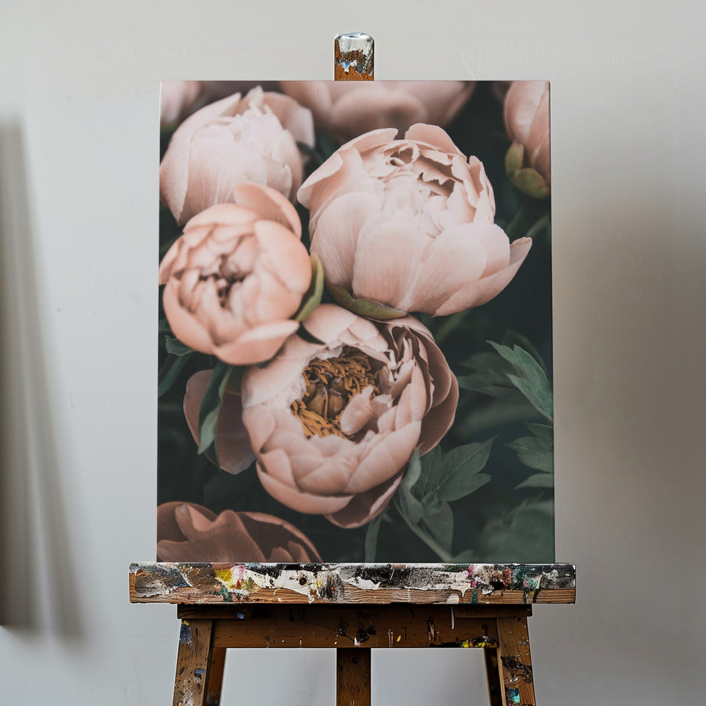 Peonie corallo | Stampe su Tela