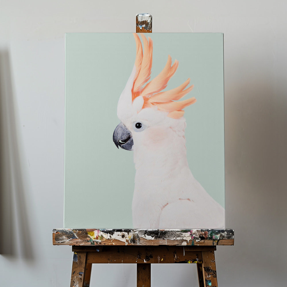 Cockatoo | Canvas