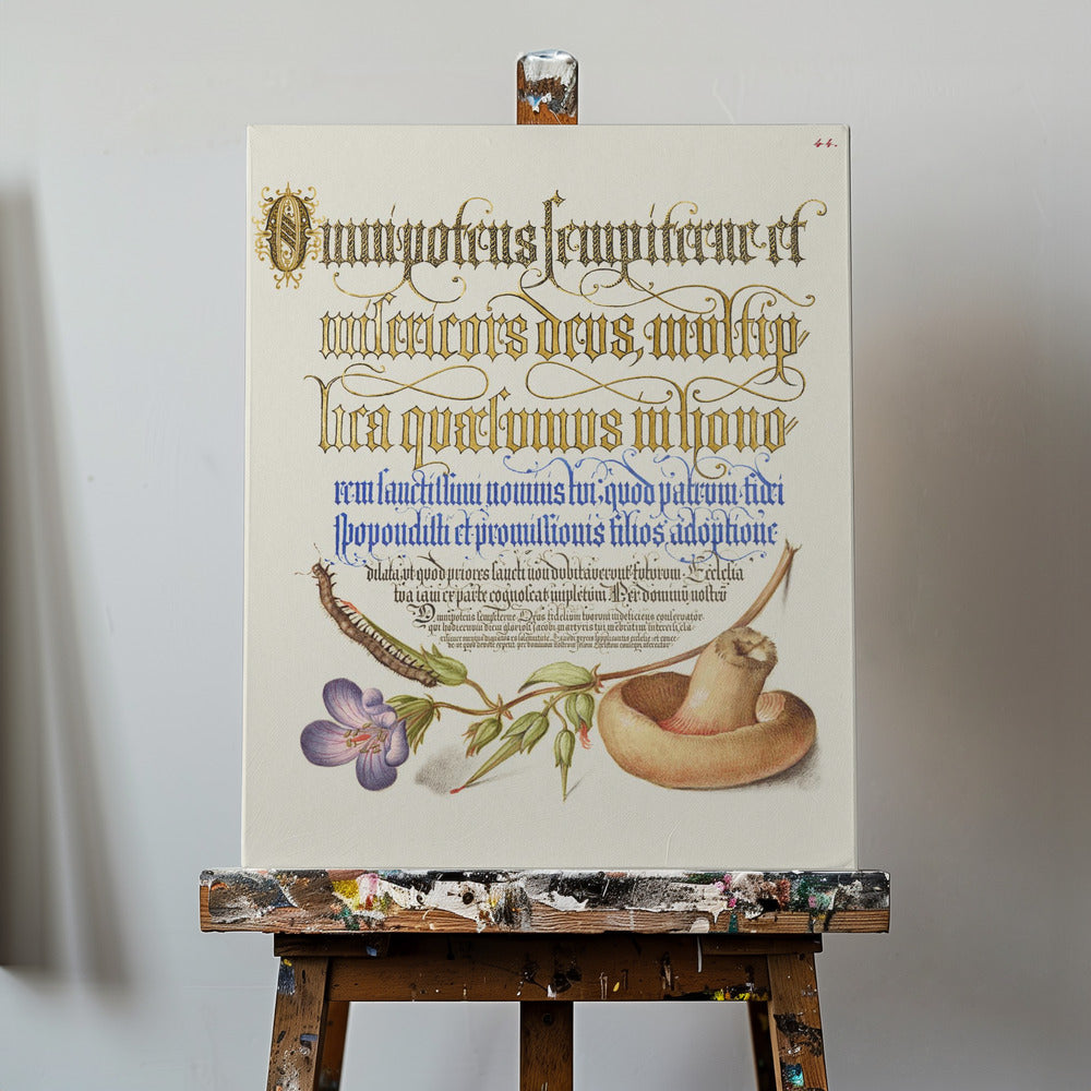 Champiñón Posters - Impresiones de Arte | Impresiones en Lienzo