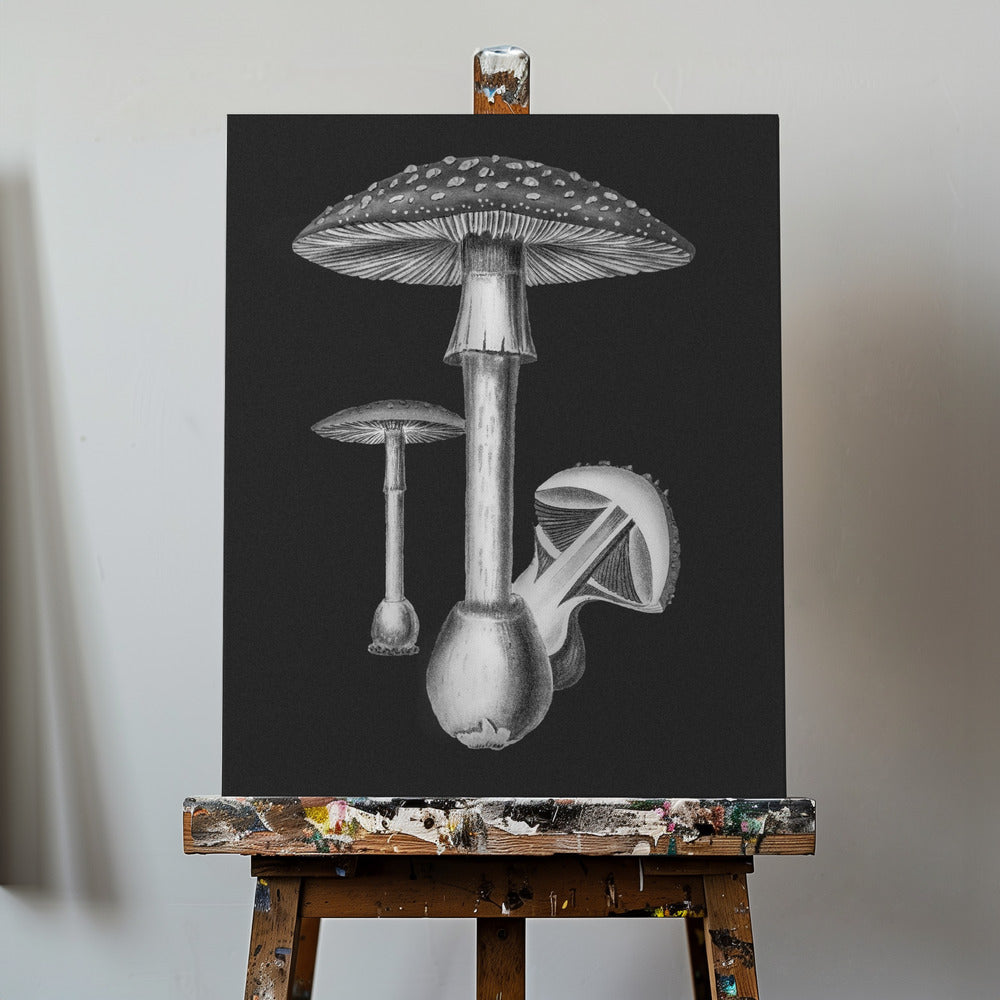 Amanita Muscaria Sfondo scuro BW | Stampe su Tela