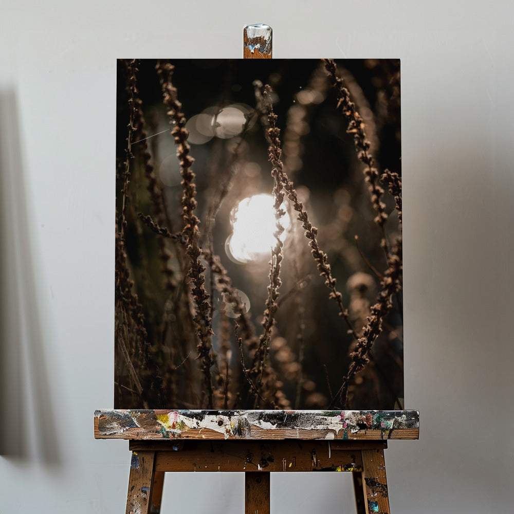 Herfstverlichting 2 | Canvasprints