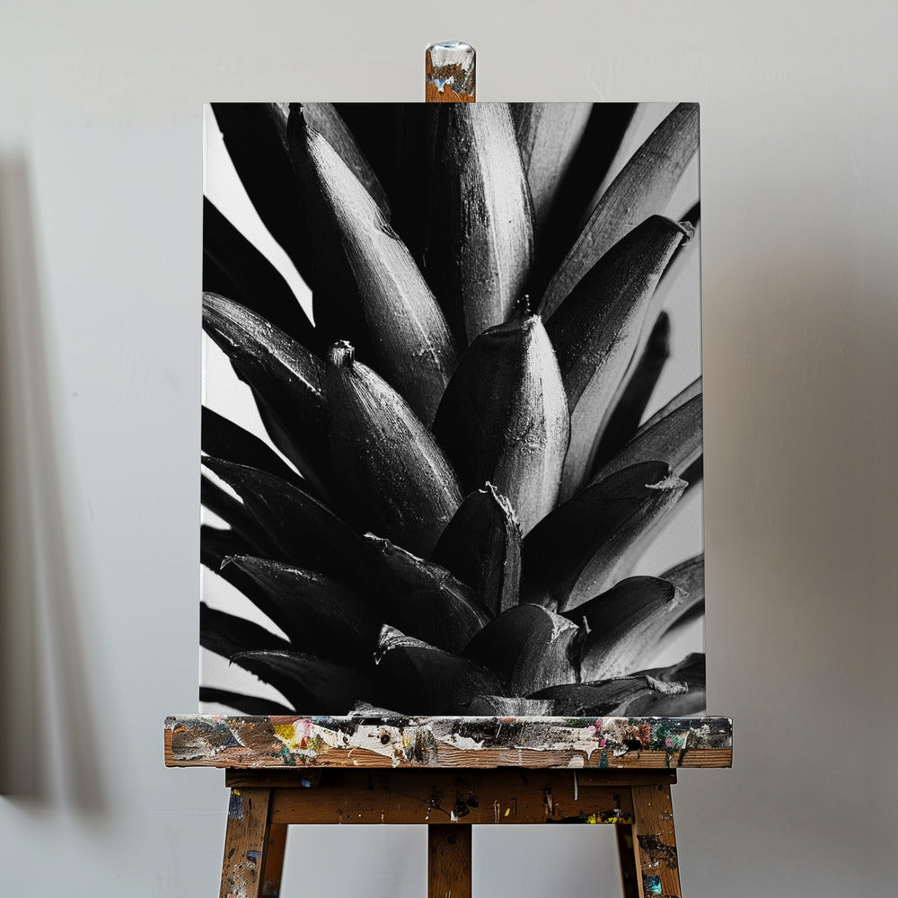 Svartvitt tall | Canvas